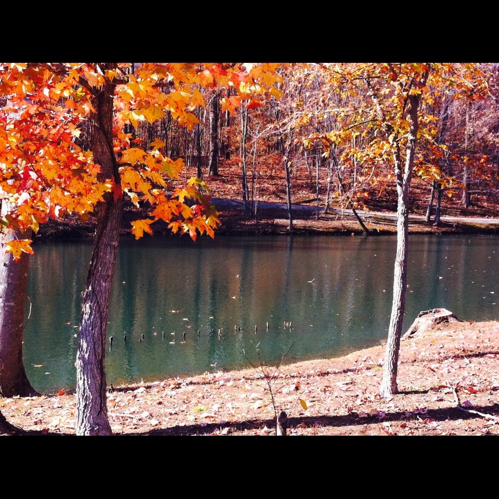 Meet your Posher, Davin